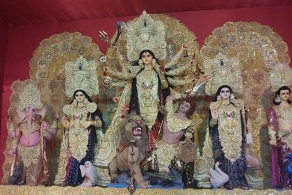 অন্যান্য